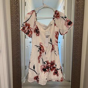 Local Milwaukee Boutique "MoDE" Floral Dress "Sage The Label"